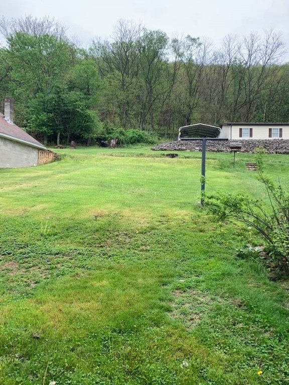 231 Stone Ave, Pine Township, PA 16259 - photo 10