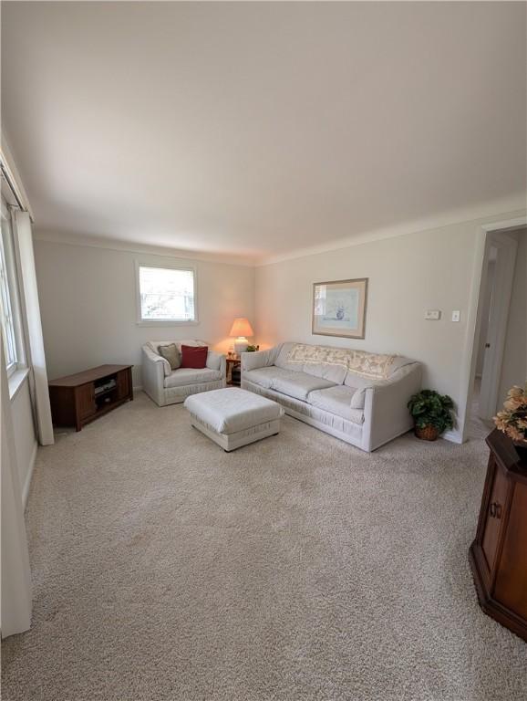 living area with carpet floors and ornamental molding
