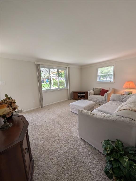 carpeted living area featuring visible vents, baseboards, and a healthy amount of sunlight