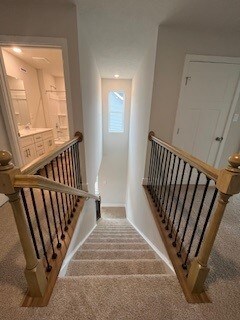 345 Stately Ct, Adams Twp, PA 16046 - staircase featuring carpet floors and baseboards