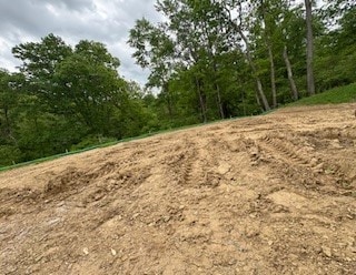 345 Stately Ct, Adams Twp, PA 16046 - view of nature
