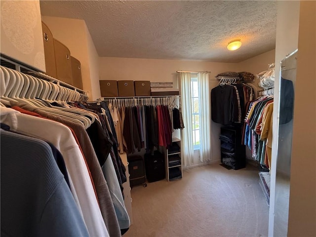 spacious closet with carpet
