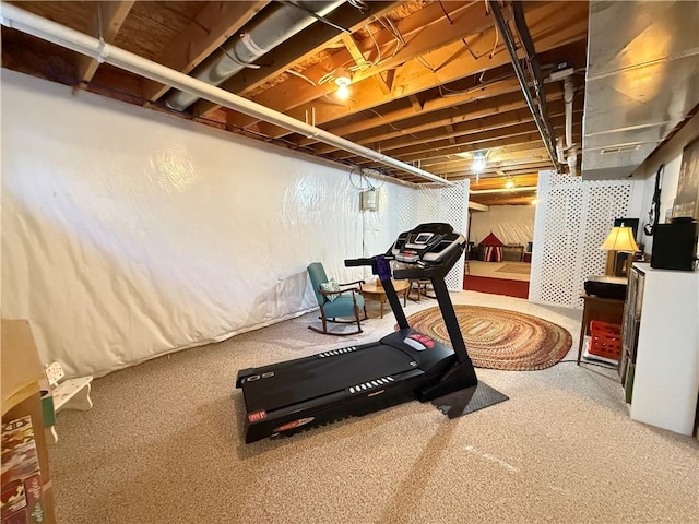 exercise room with carpet