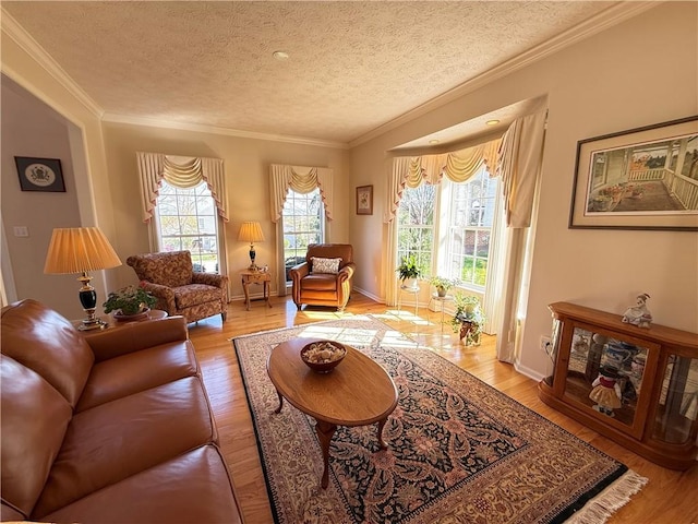 living area featuring light wood-type flooring, a textured ceiling, crown molding, and baseboards