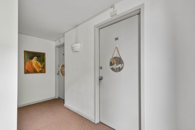552 N Neville St Unit 26, Oakland, PA 15213 - hall with light carpet