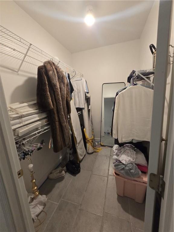 view of walk in closet