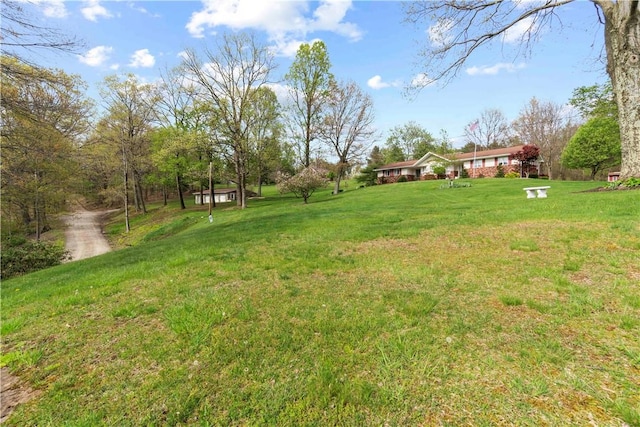 78 Cherryhill Rd, Indiana Boro Ind, PA 15701 - view of yard