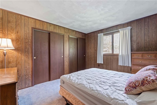 78 Cherryhill Rd, Indiana Boro Ind, PA 15701 - bedroom featuring wood walls, multiple closets, and carpet floors