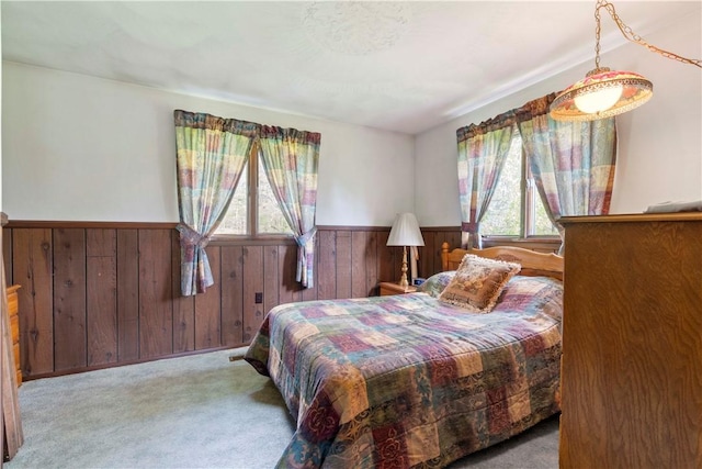 78 Cherryhill Rd, Indiana Boro Ind, PA 15701 - bedroom featuring wainscoting, wooden walls, and carpet flooring