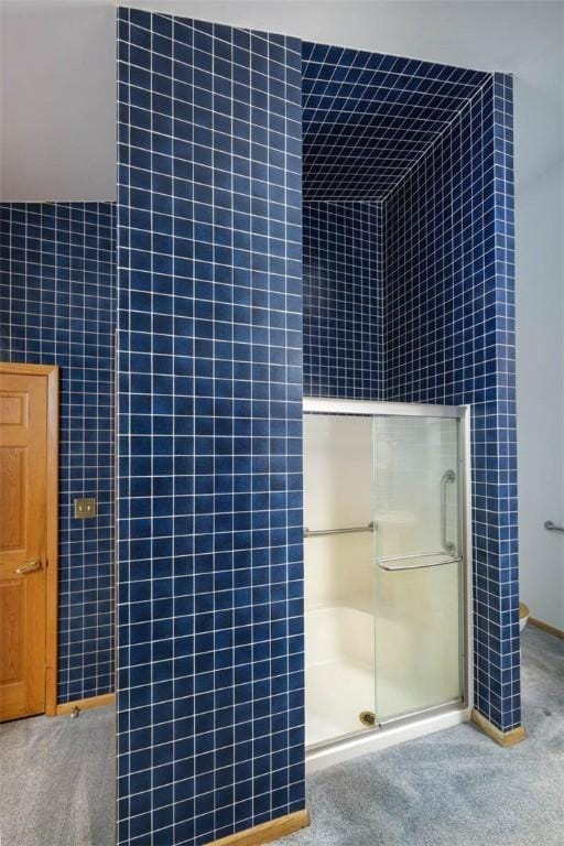 full bathroom featuring a shower with shower door