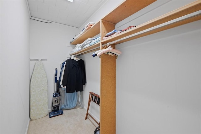 72 Linden Pl Unit 22, Sewickley, PA 15143 - walk in closet featuring carpet flooring