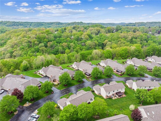 aerial perspective of suburban area featuring a forest