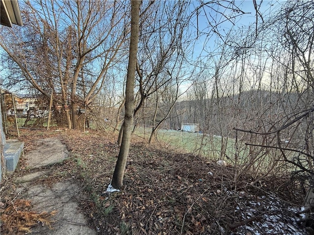 39 Eagle St, Fallowfield, PA 15022 - view of yard