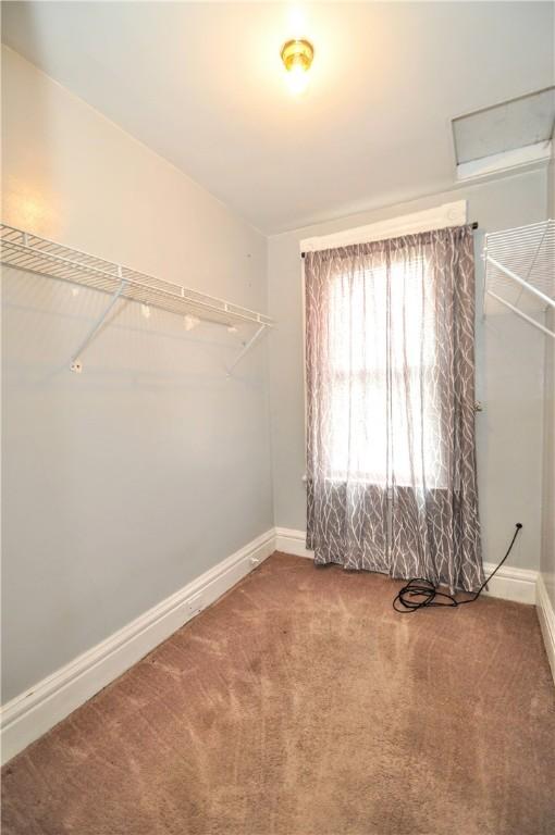 walk in closet with carpet floors