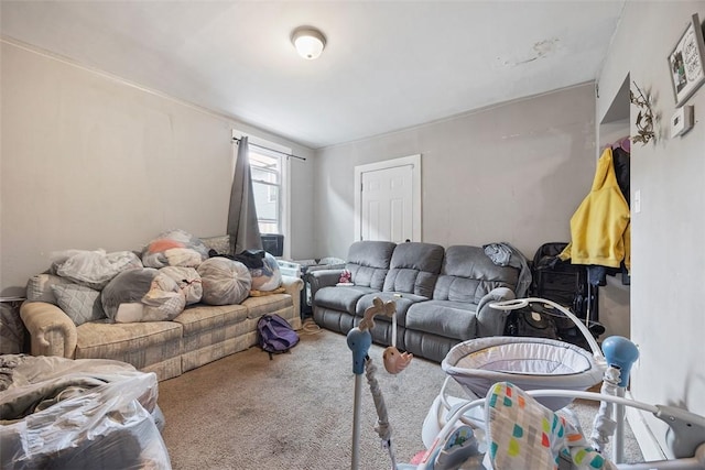 view of carpeted living area