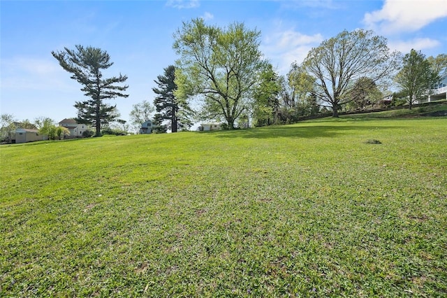 54 Devils Den Rd, Hanover Twp Wsh, PA 15021 - view of yard