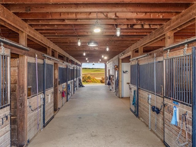 view of horse barn