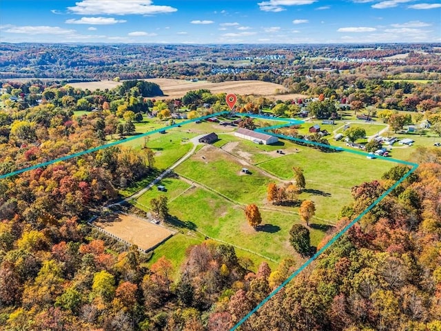 drone / aerial view