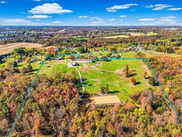 aerial view