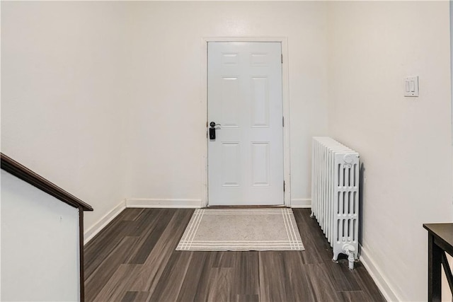 1318 Louise St, Munhall, PA 15120 - entryway featuring radiator heating unit, wood finished floors, and baseboards