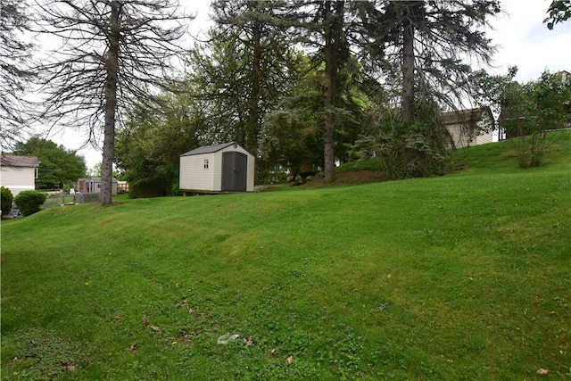 view of yard with an outdoor structure and a shed