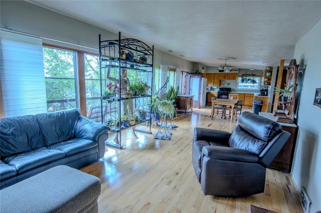 1898 Brushcliff Rd, Churchill Boro, PA 15221 - living area with light wood-type flooring, a healthy amount of sunlight, and visible vents