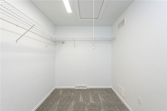 walk in closet featuring attic access, visible vents, and carpet floors