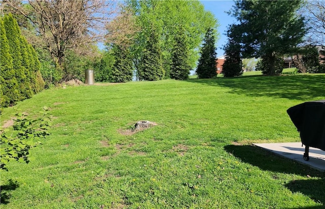 view of yard