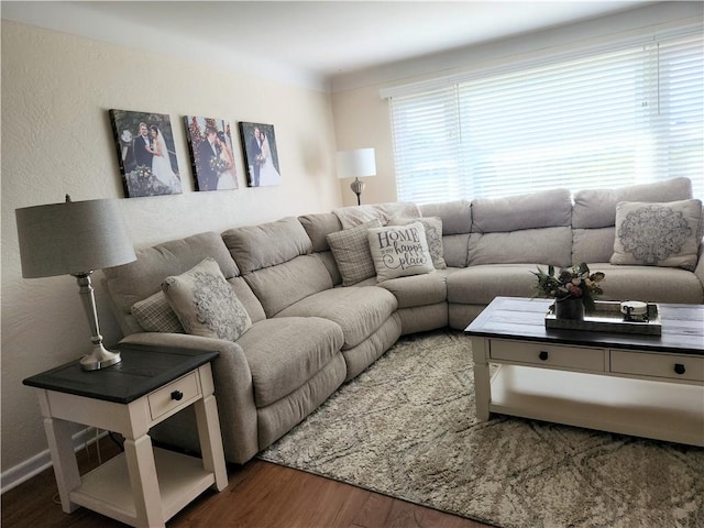 living room featuring wood finished floors