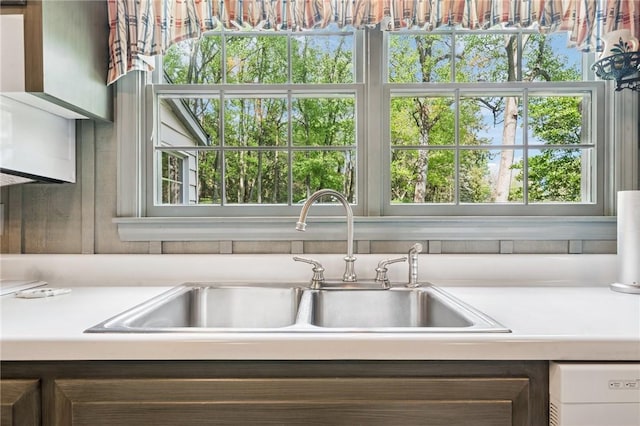 kitchen with a wealth of natural light, light countertops, a sink, and dishwasher