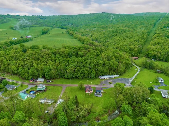 bird's eye view with a view of trees