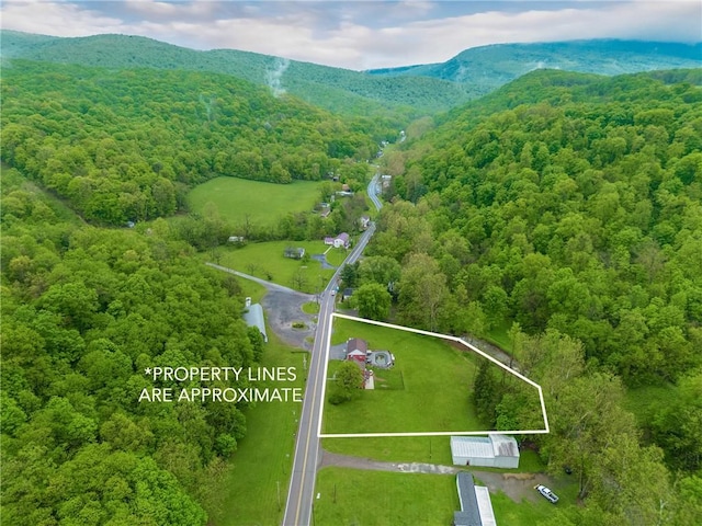 bird's eye view with a view of trees and a mountain view