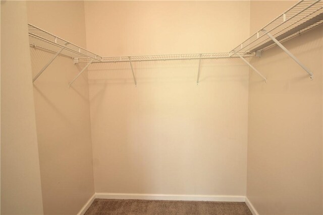 900 Hidden Ridge Ct Unit 202, South Park, PA 15129 - walk in closet featuring carpet floors