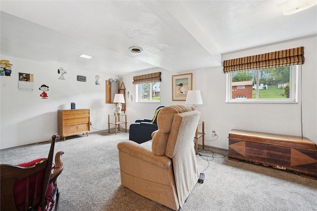 living area with carpet