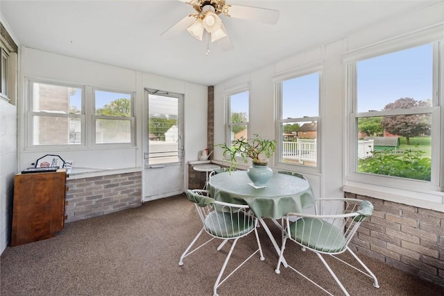 sunroom with carpet