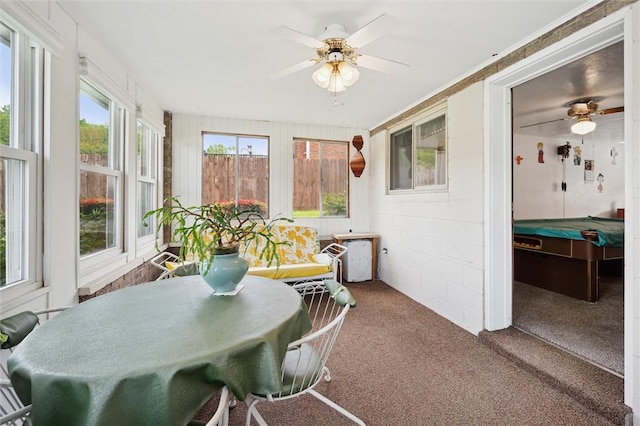 sunroom / solarium featuring carpet floors
