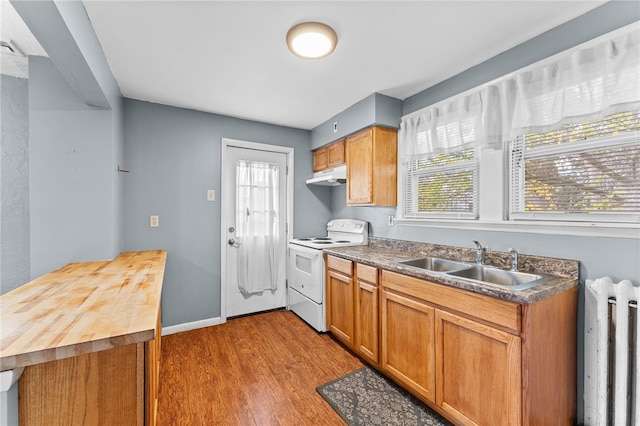 kitchen featuring electric range, under cabinet range hood, a sink, radiator heating unit, and wood finished floors