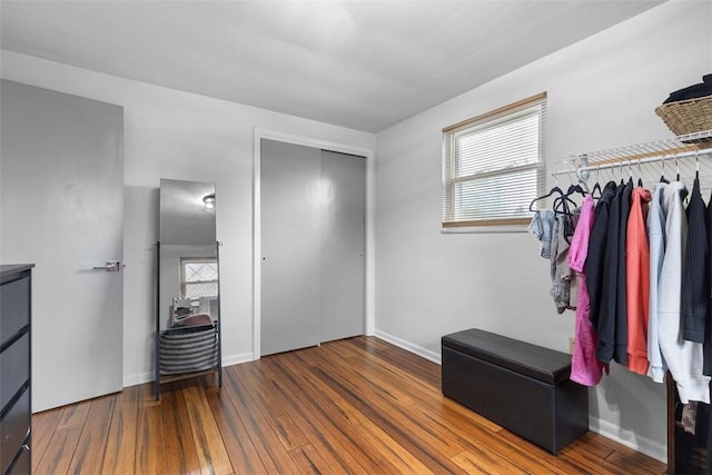 spacious closet with wood-type flooring