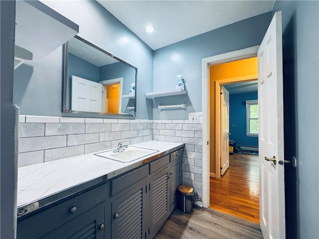bathroom featuring vanity, tasteful backsplash, and wood finished floors