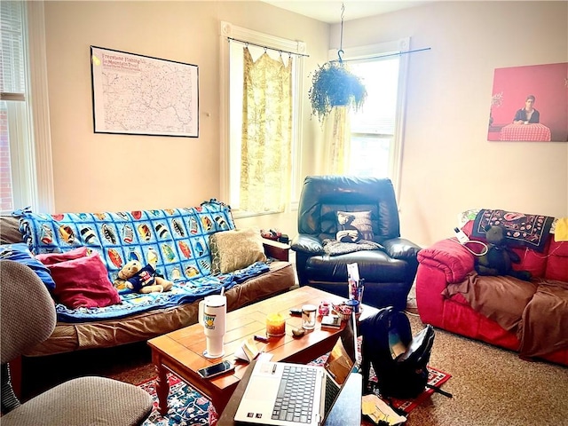 view of carpeted living area
