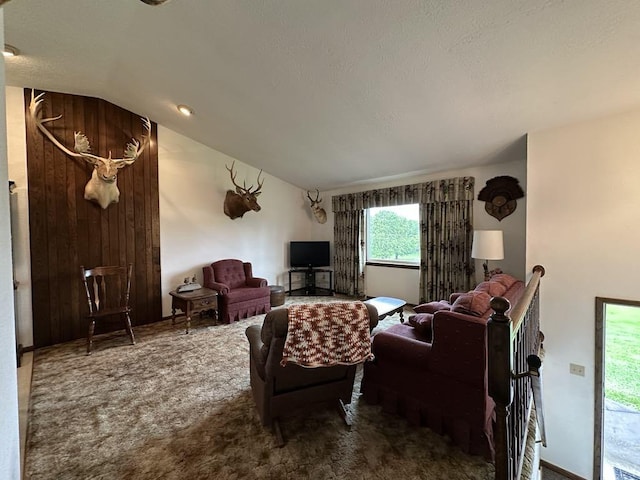 861 Chicora Rd, Oakland Twp, PA 16025 - carpeted living area featuring lofted ceiling