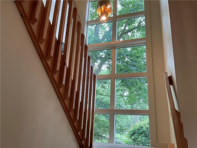 174 Ammons Dr, Peters Twp, PA 15317 - photo 6