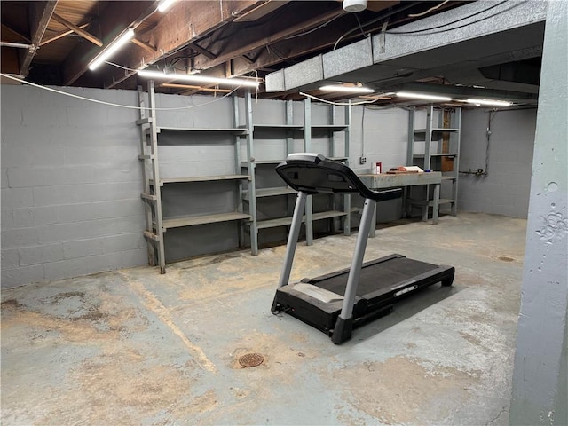 unfinished below grade area featuring concrete block wall