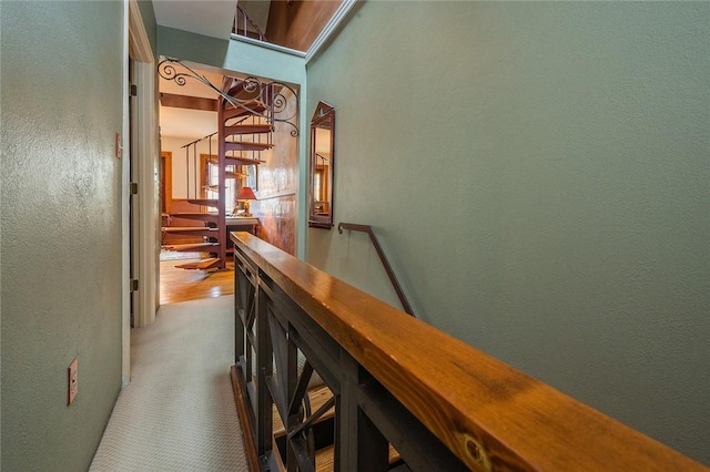 2220 Sarah St, South Side, PA 15203 - corridor featuring a textured wall and carpet floors