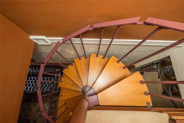 2220 Sarah St, South Side, PA 15203 - view of staircase