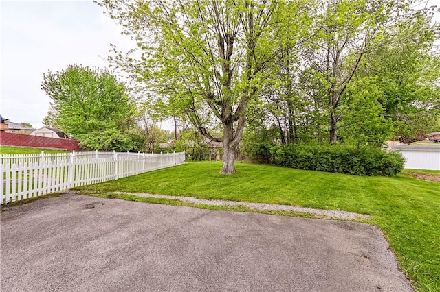 1079 Hedy Lynn Dr, North Huntingdon, PA 15642 - view of yard