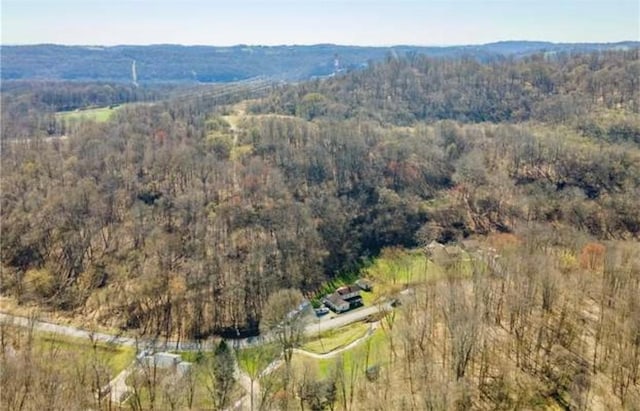 3053 Scheinbach Rd, Jefferson Hills, PA 15332 - aerial view of property and surrounding area with a forest