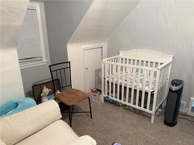 bedroom with carpet flooring