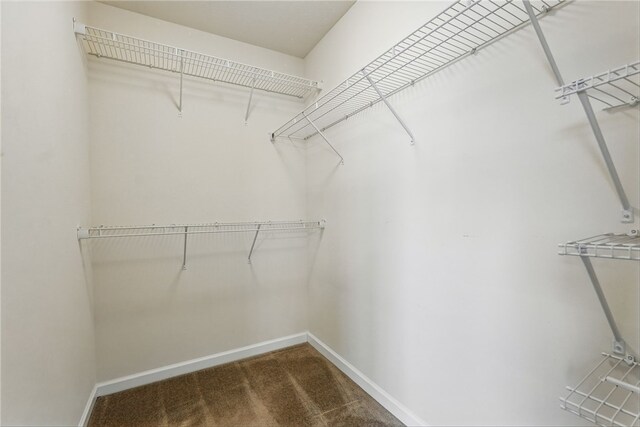 spacious closet with carpet flooring
