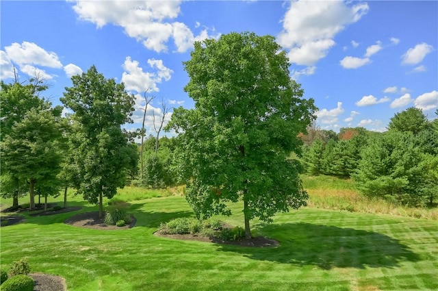 107 Mirage Dr, Cranberry Twp, PA 16066 - view of community with a lawn